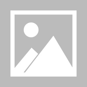 今日看料,揭秘最新资讯背后的故事